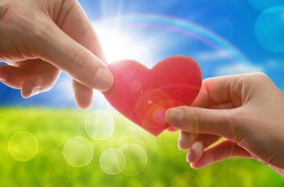 конкурс краси для благодійниць 25-45 років